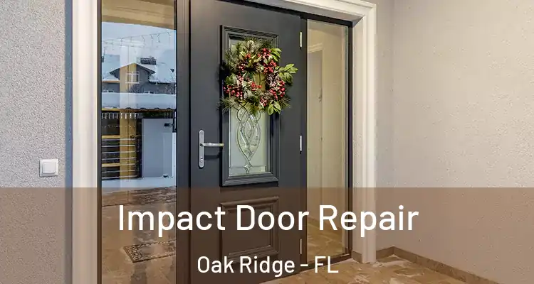  Impact Door Repair Oak Ridge - FL
