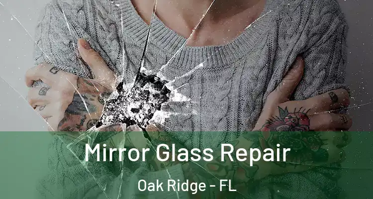  Mirror Glass Repair Oak Ridge - FL