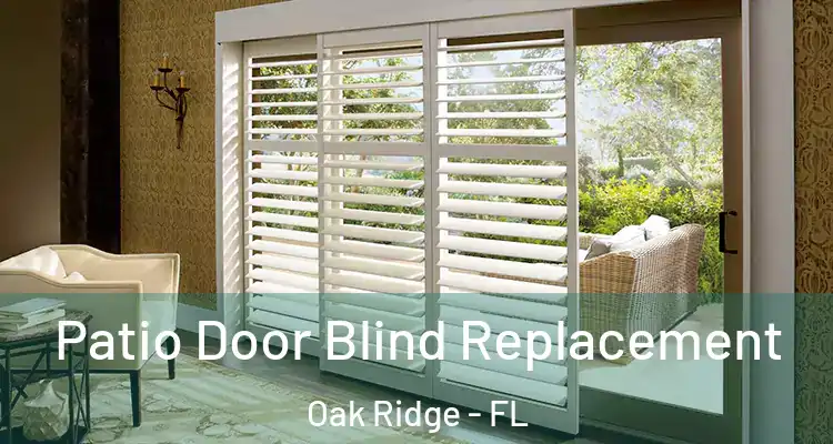  Patio Door Blind Replacement Oak Ridge - FL