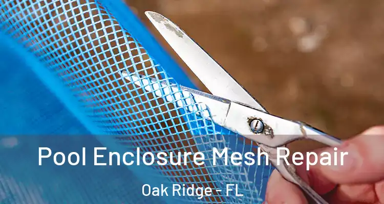  Pool Enclosure Mesh Repair Oak Ridge - FL