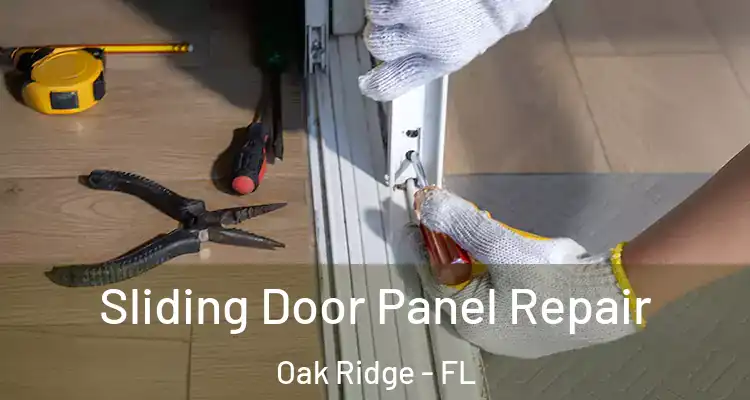  Sliding Door Panel Repair Oak Ridge - FL